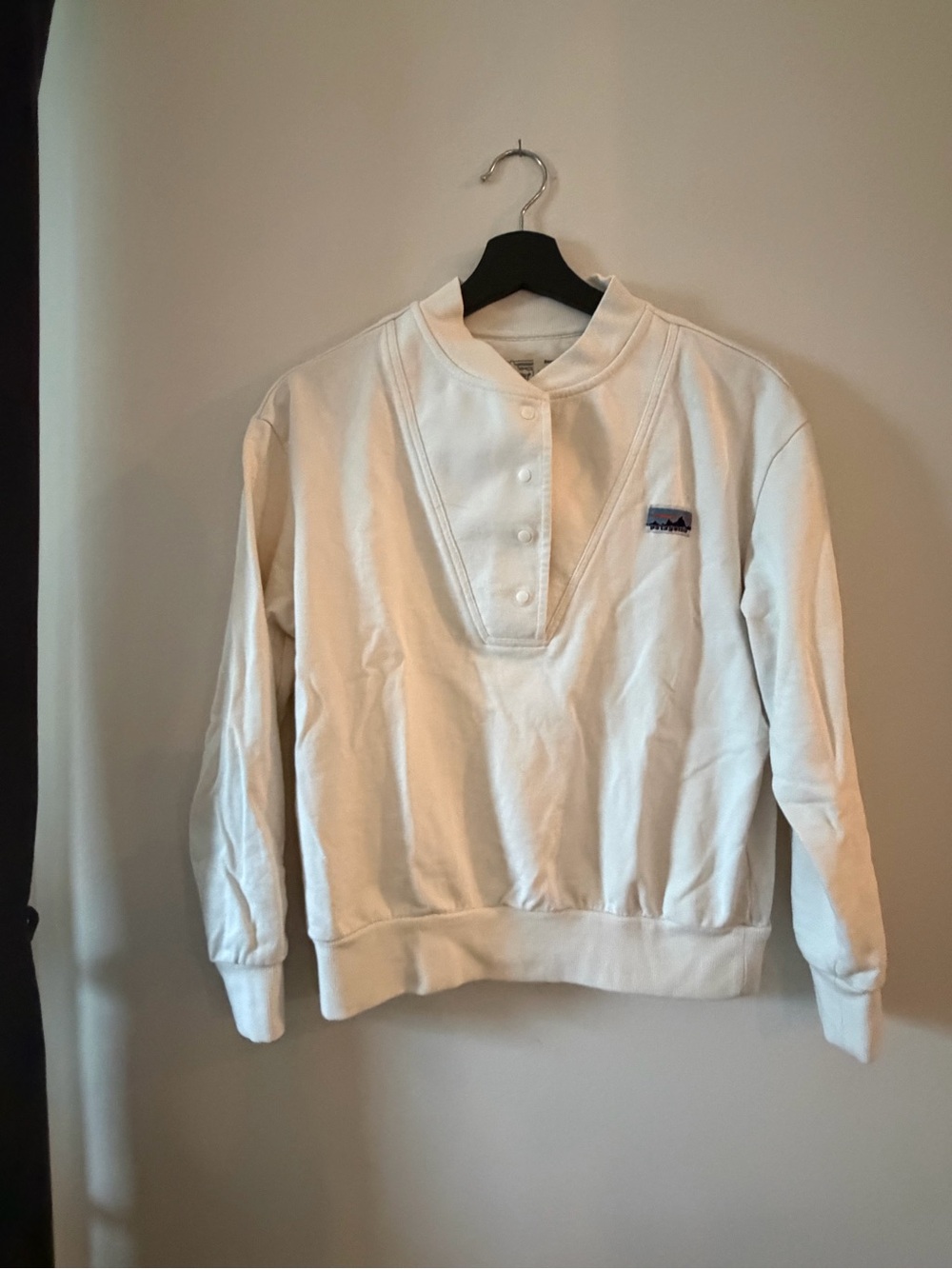 Patagonia regenerative organic pilot cotton sweatshirt